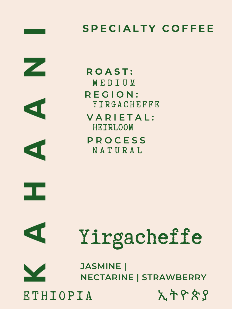 PETAL RIOT - Yirgacheffe