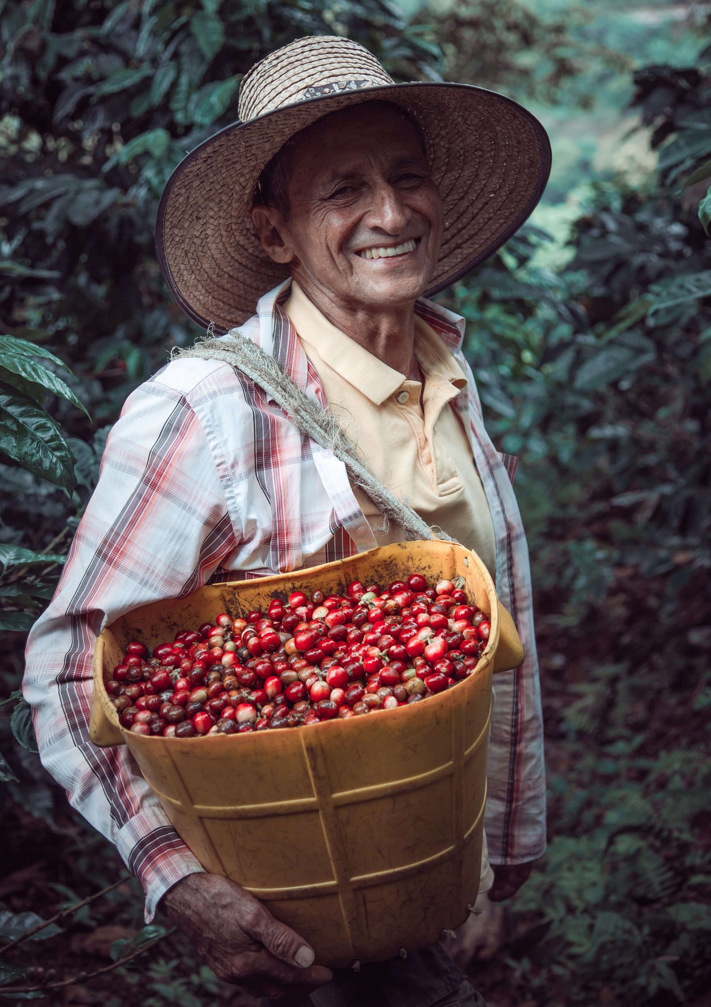 Donate to Directly to Farmers